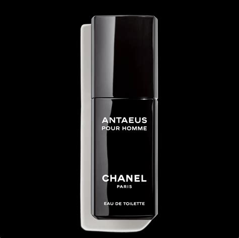 chanel antaeus sephora|CHANEL Antaeus Eau De Toilette Spray 100ml .